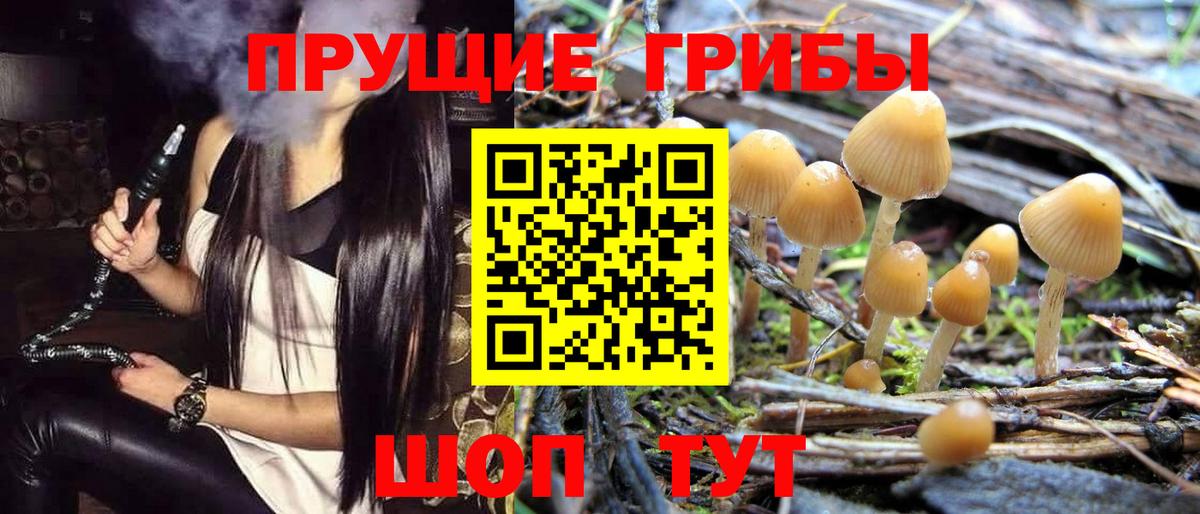 Галлюциногенные грибы ЛСД Будённовск